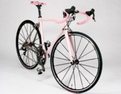 TiCrownJewel (Independent Fabrication Ti Crown Jewel)